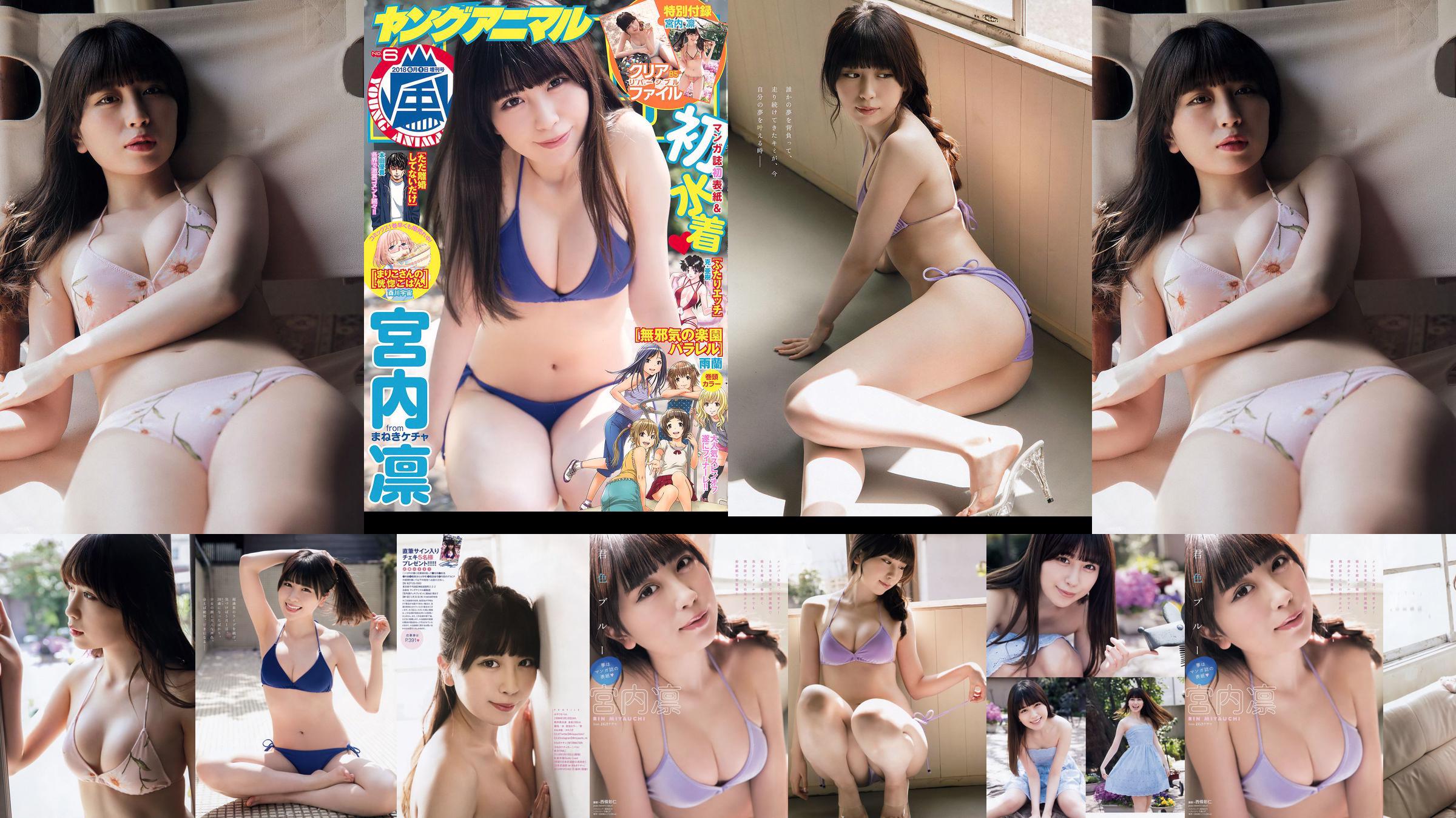 Rin Miyauchi [Jungtier Arashi] Arashi Sonderausgabe 2018 Nr.06 Fotomagazin No.676483 Seite 1