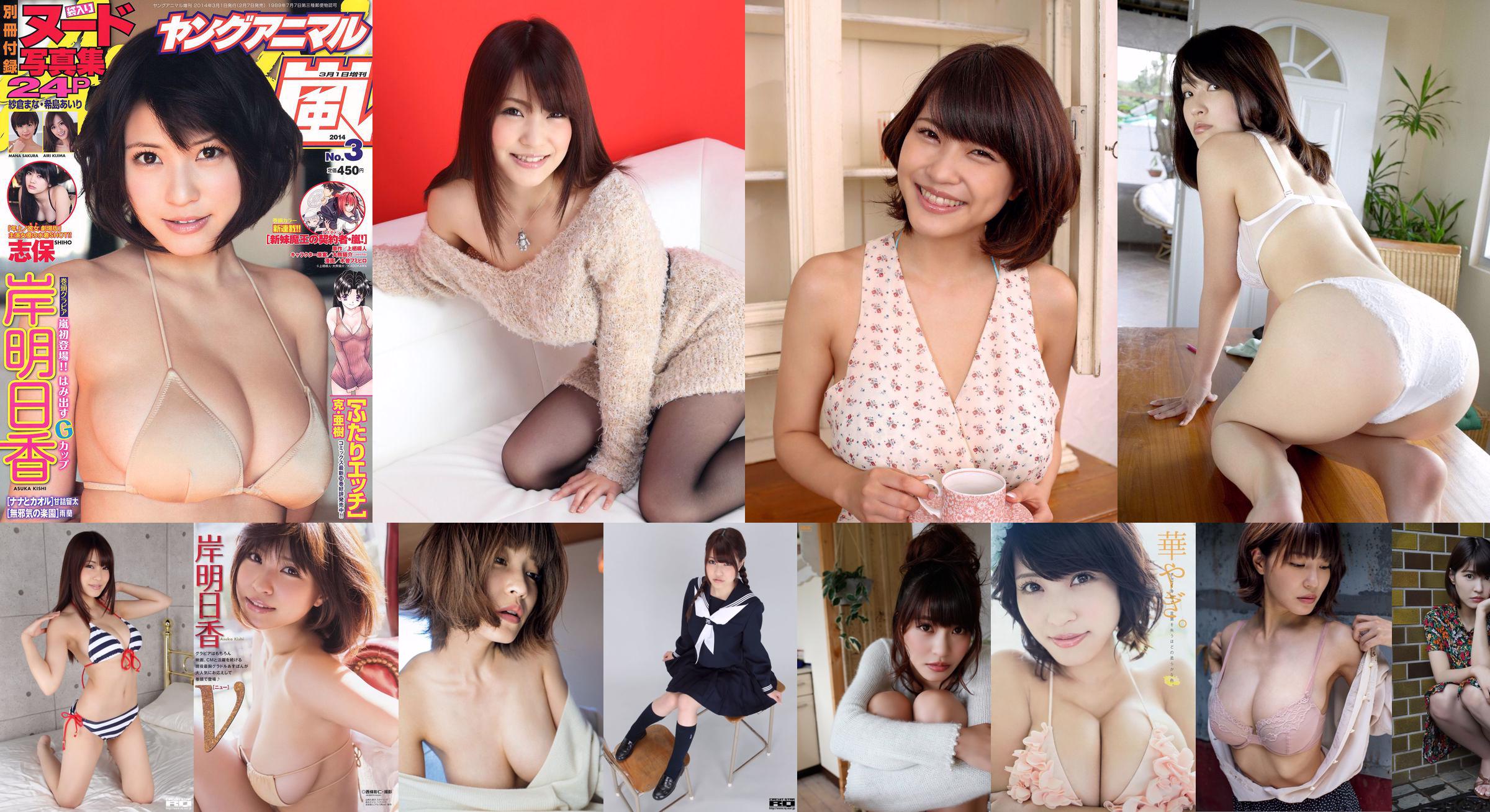 [Revista Young] Asuka Kishi Kanna Hashimoto 2014 No.20 Fotografia No.74398a Página 3